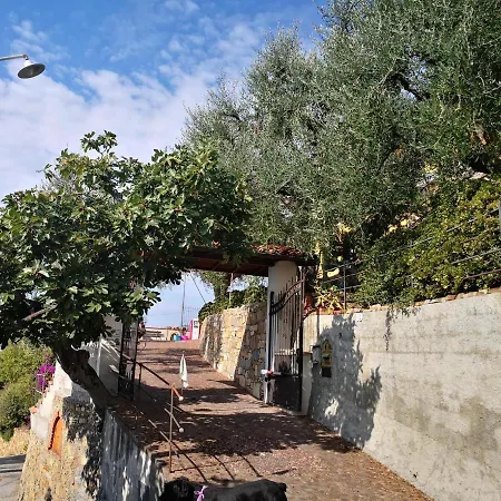 Apartament Casa Pepe