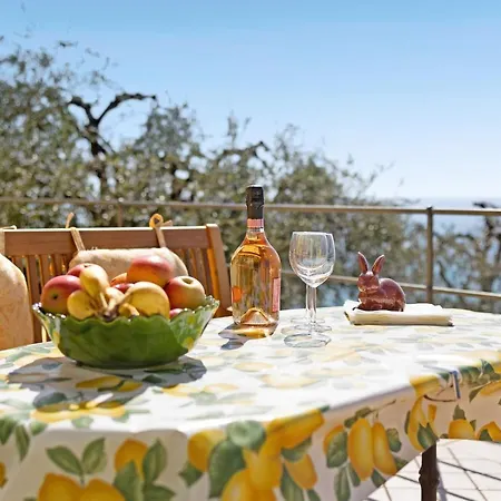Casa Pepe Appartement